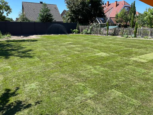 Verlegung von Rollrasen