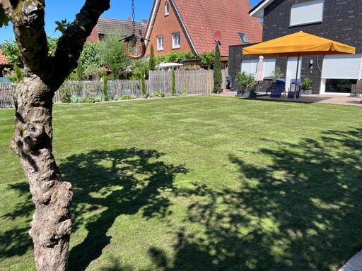 Verlegung von Rollrasen