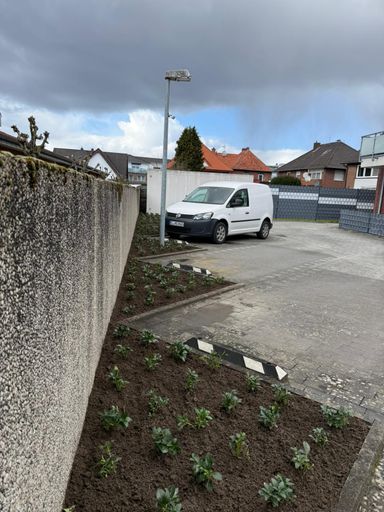 Verlegung von Bodendecker auf einem Parkplatz